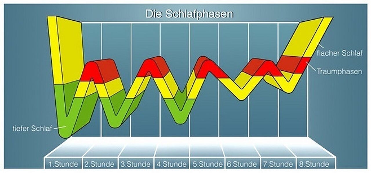 Diagramm der Schlafphasen