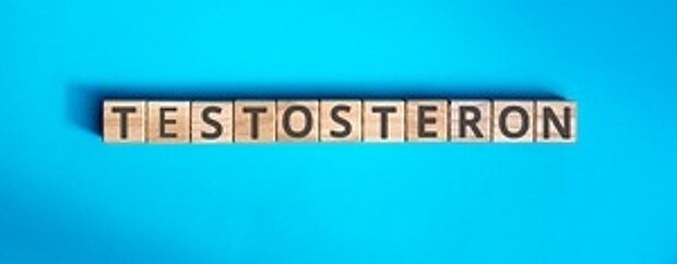Wort Testosteron mit Holzklötzen